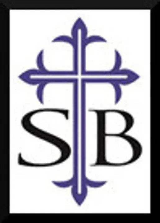 stblogo.webp